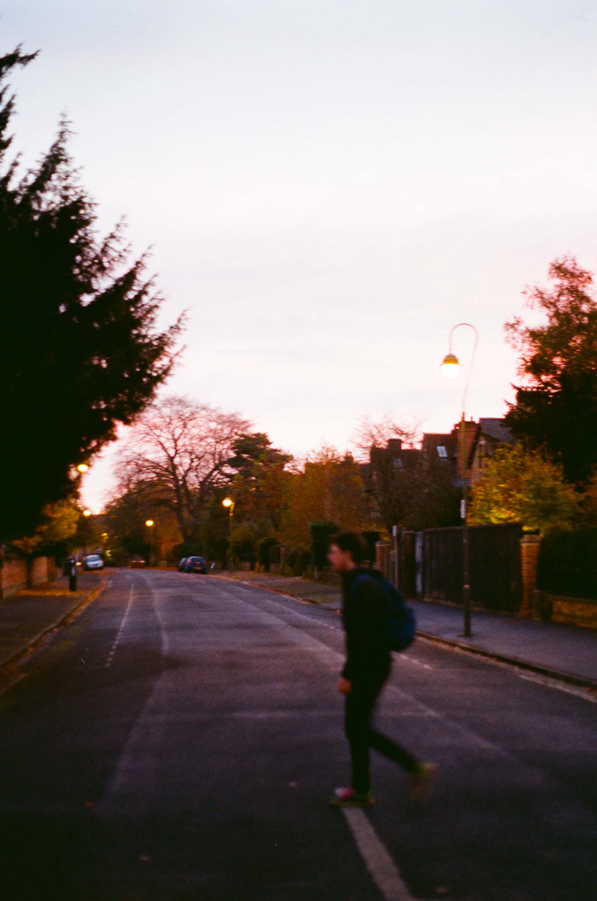 Thumbnail for 30800037.jpg