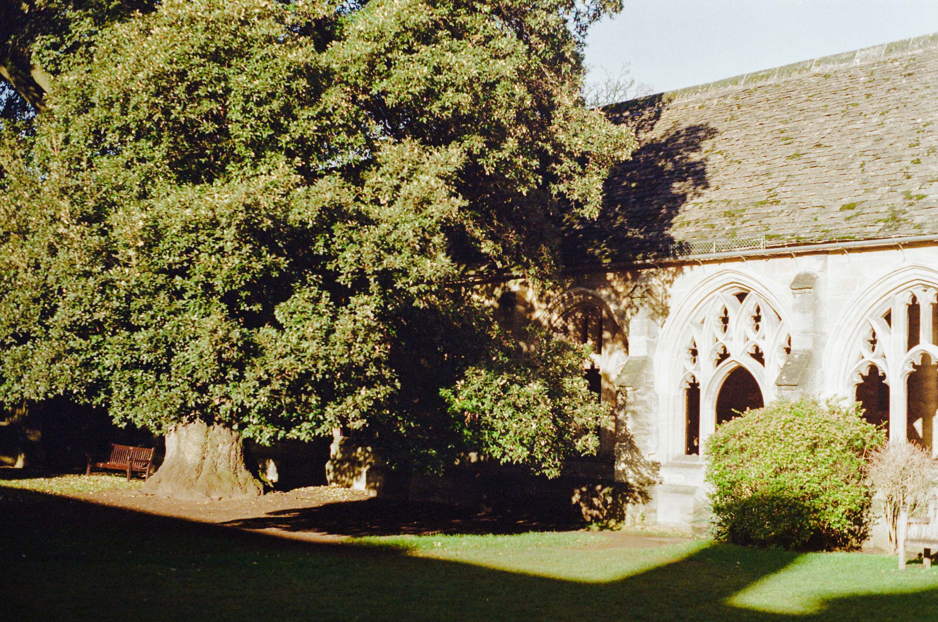 Thumbnail for oxford-1.jpg