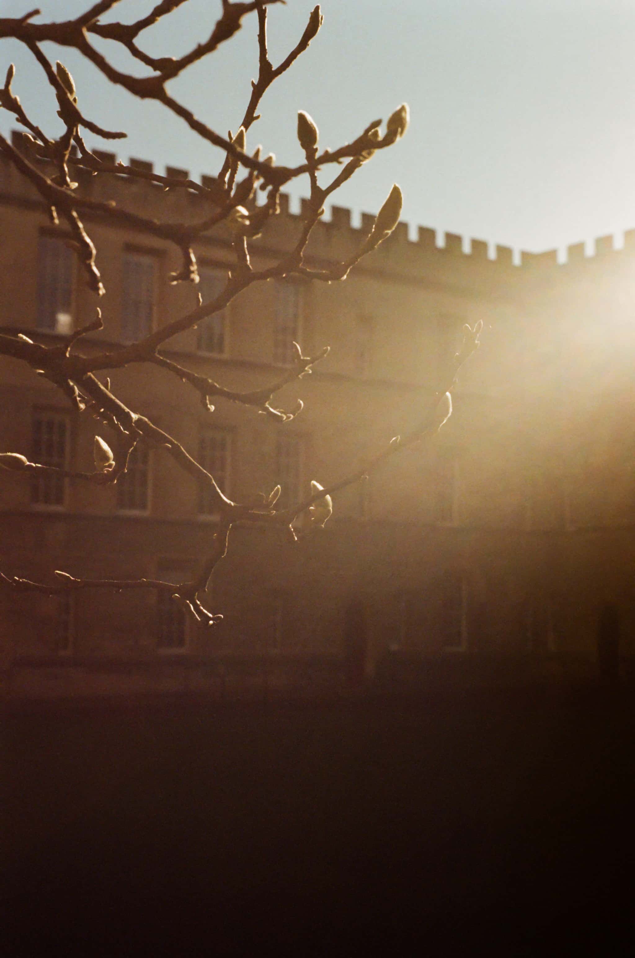 Thumbnail for oxford-14.jpg