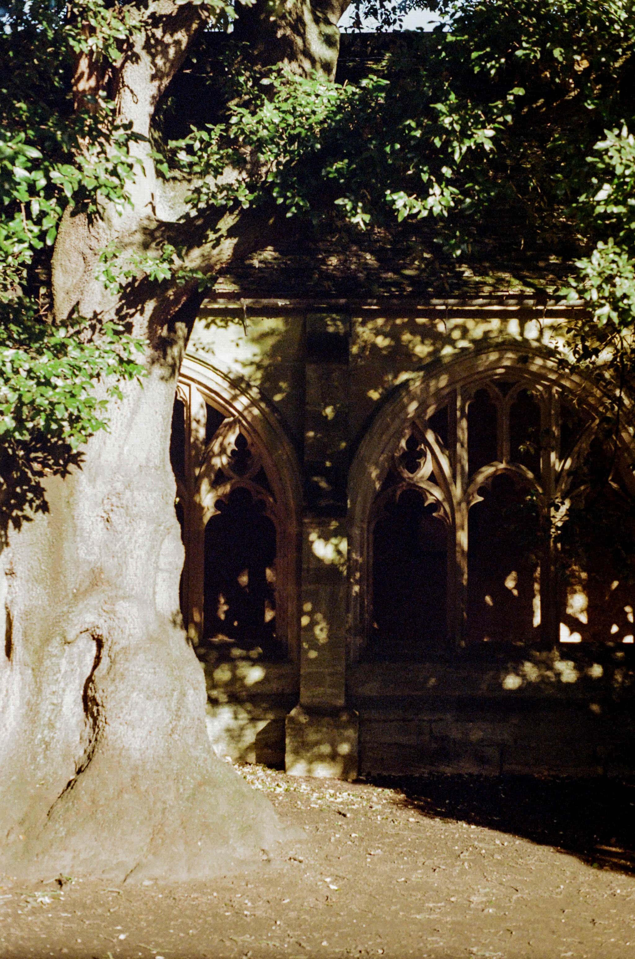 Thumbnail for oxford-19.jpg