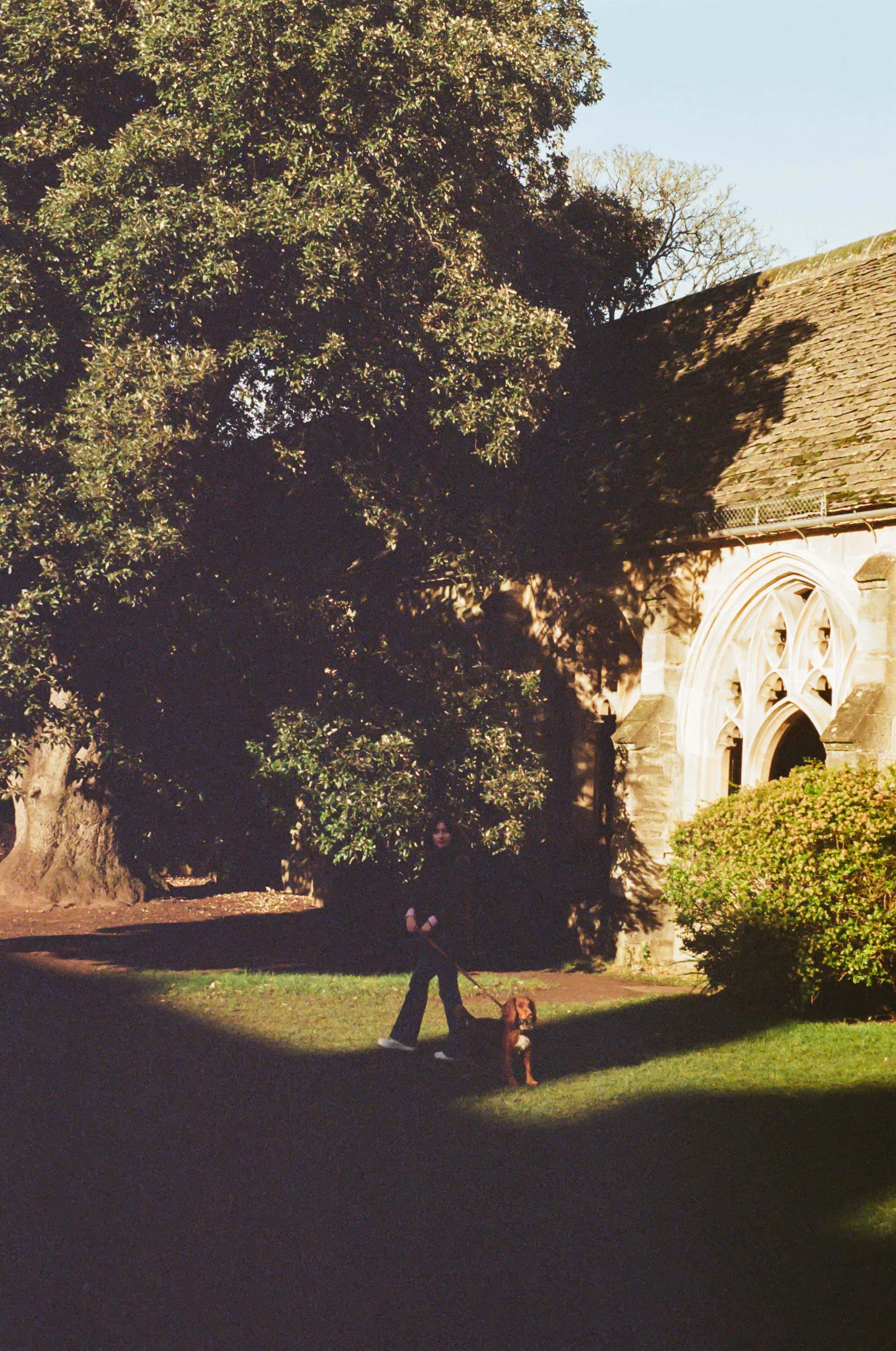 Thumbnail for oxford-20.jpg