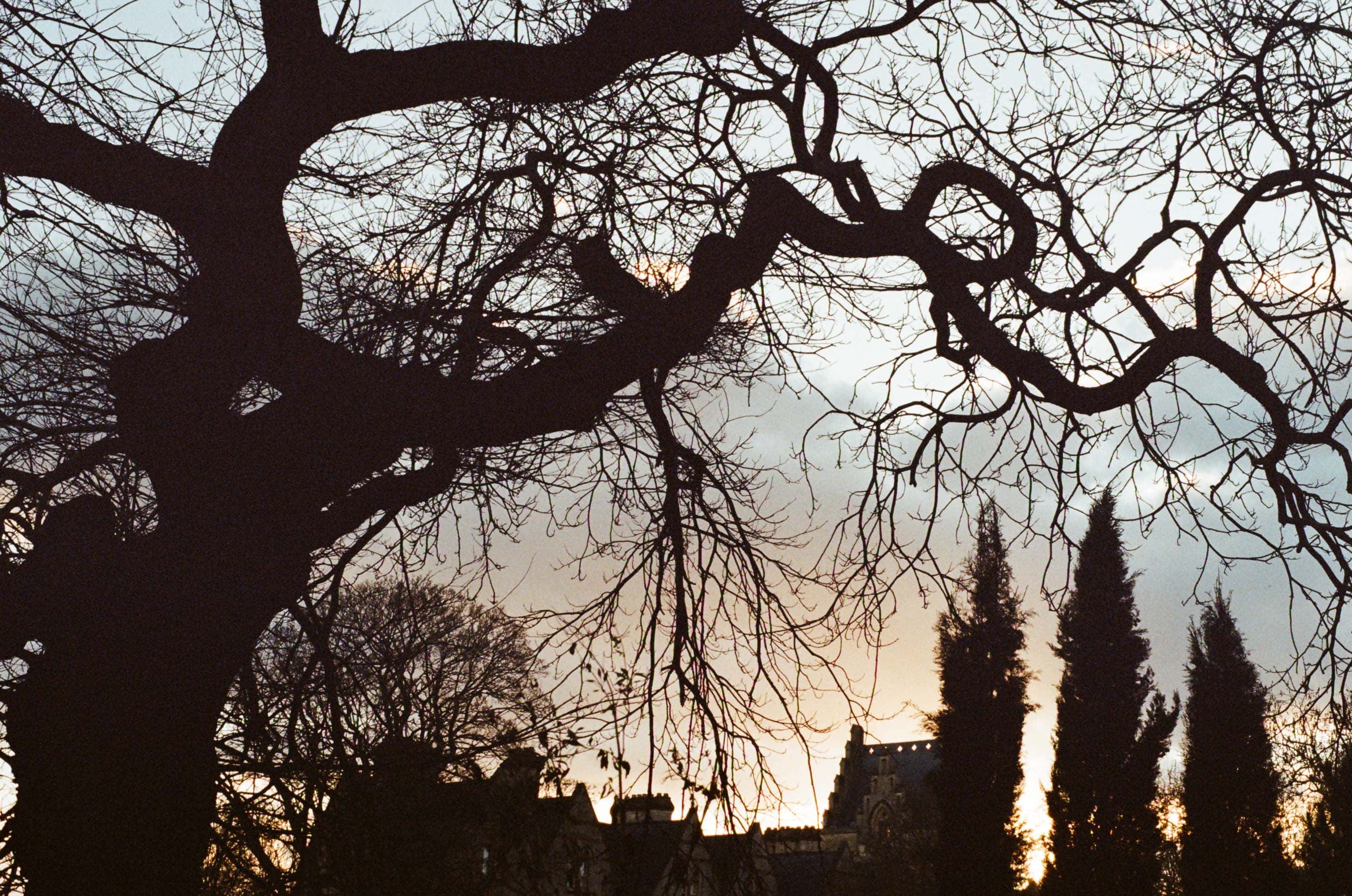 Thumbnail for oxford-6.jpg