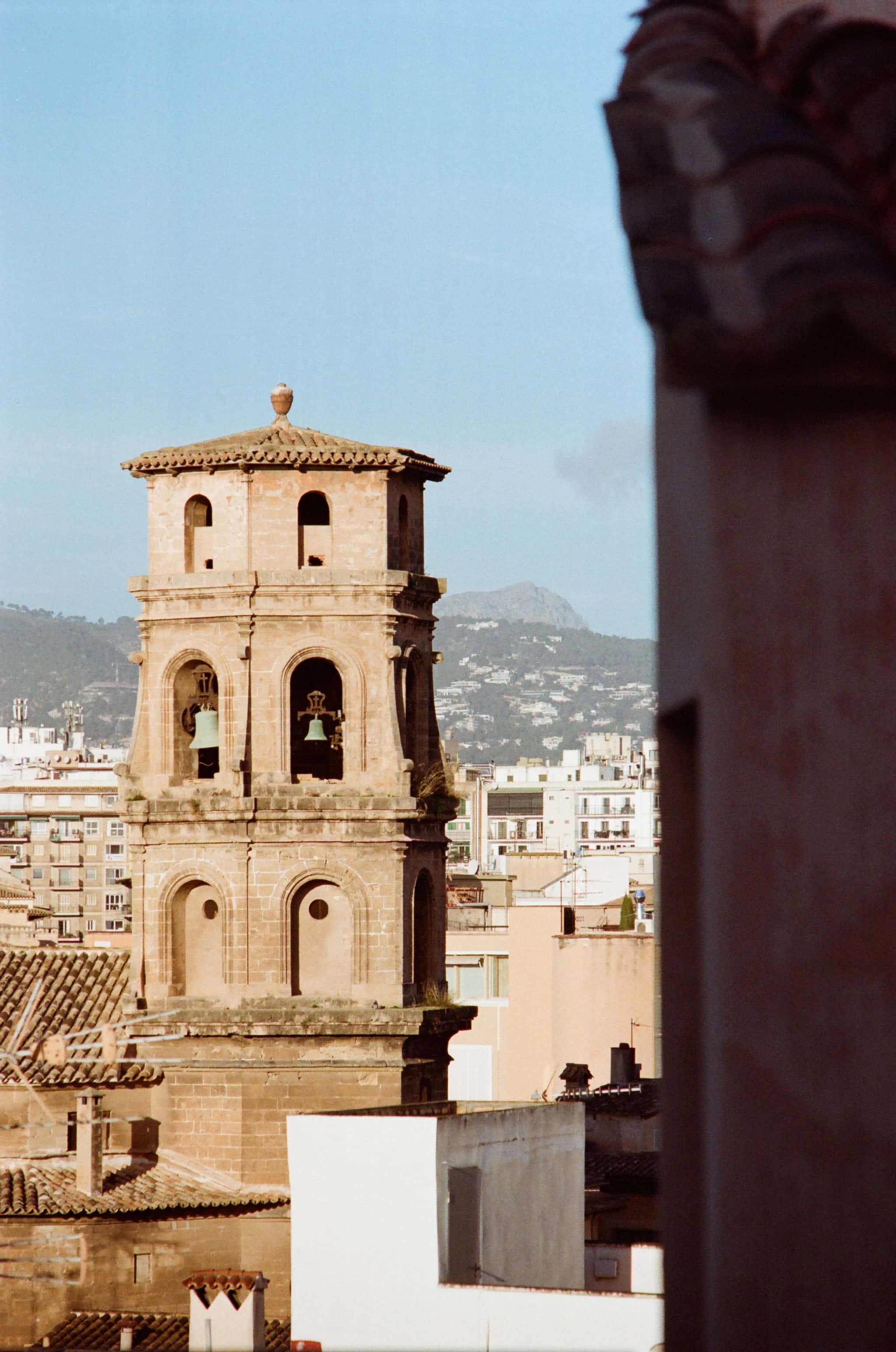 Thumbnail for palma-10.jpg