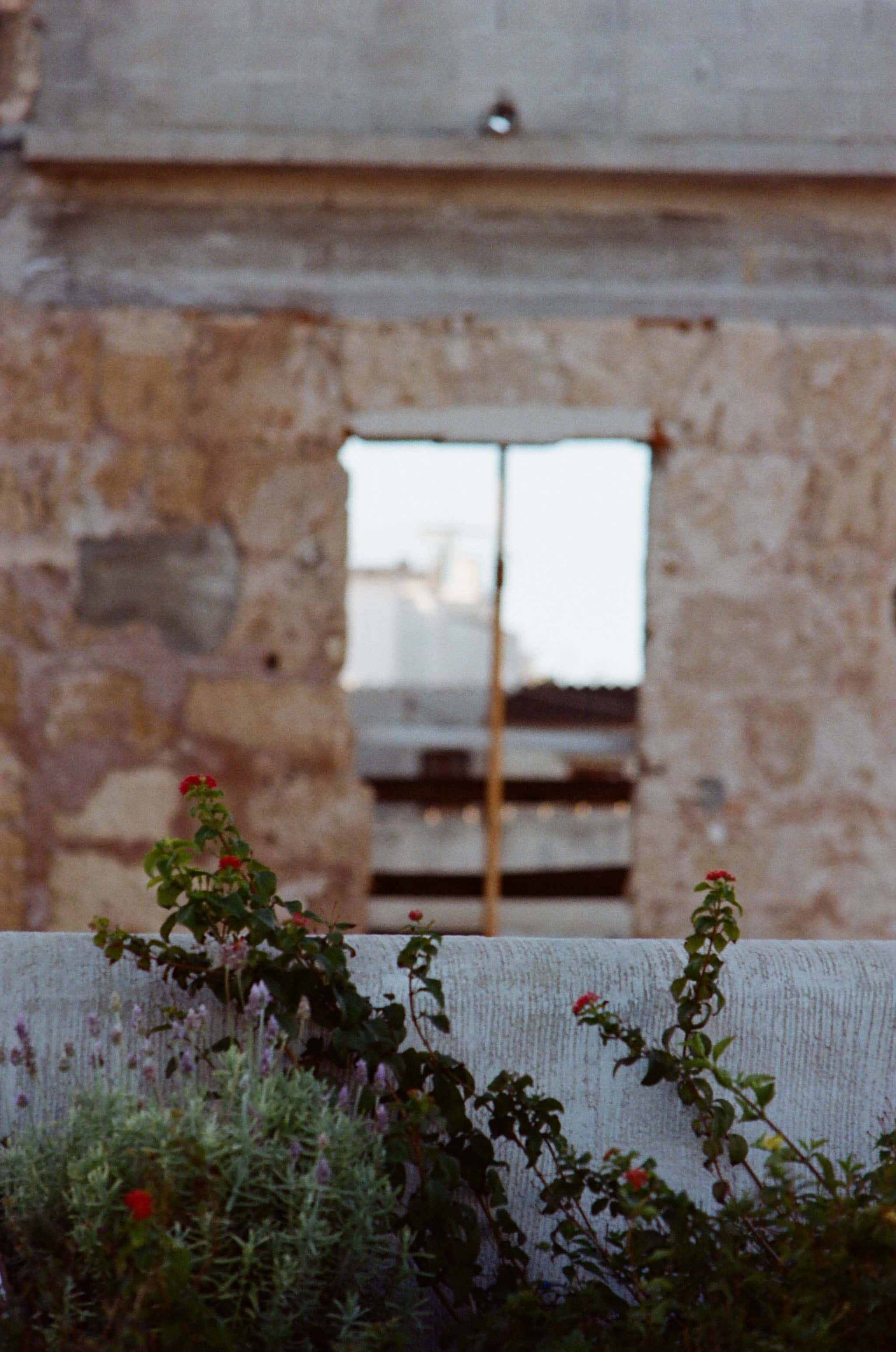 Thumbnail for palma-14.jpg