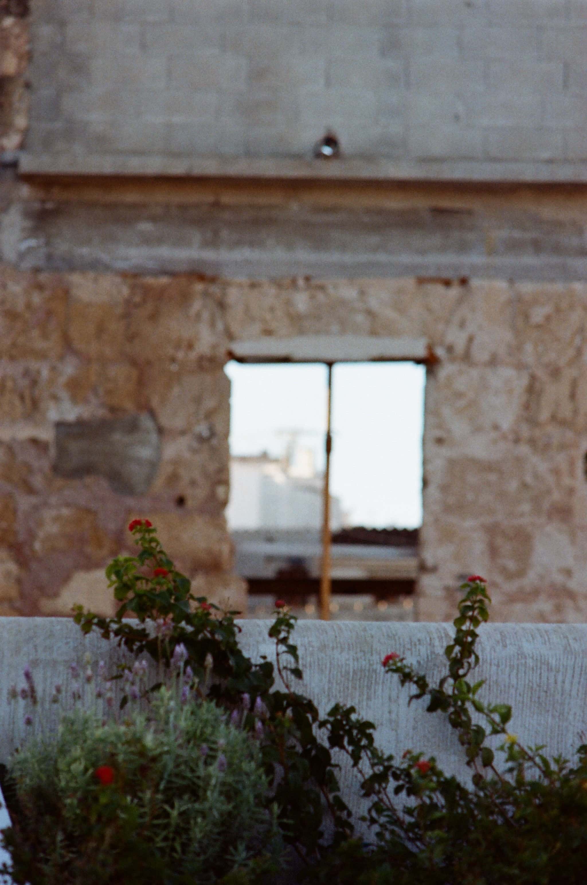 Thumbnail for palma-16.jpg