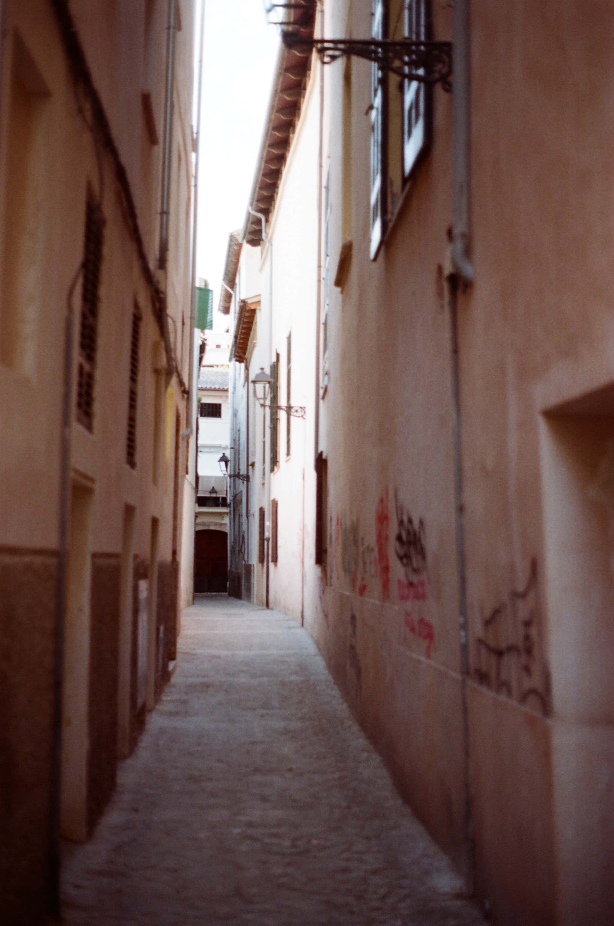 Thumbnail for palma-20.jpg