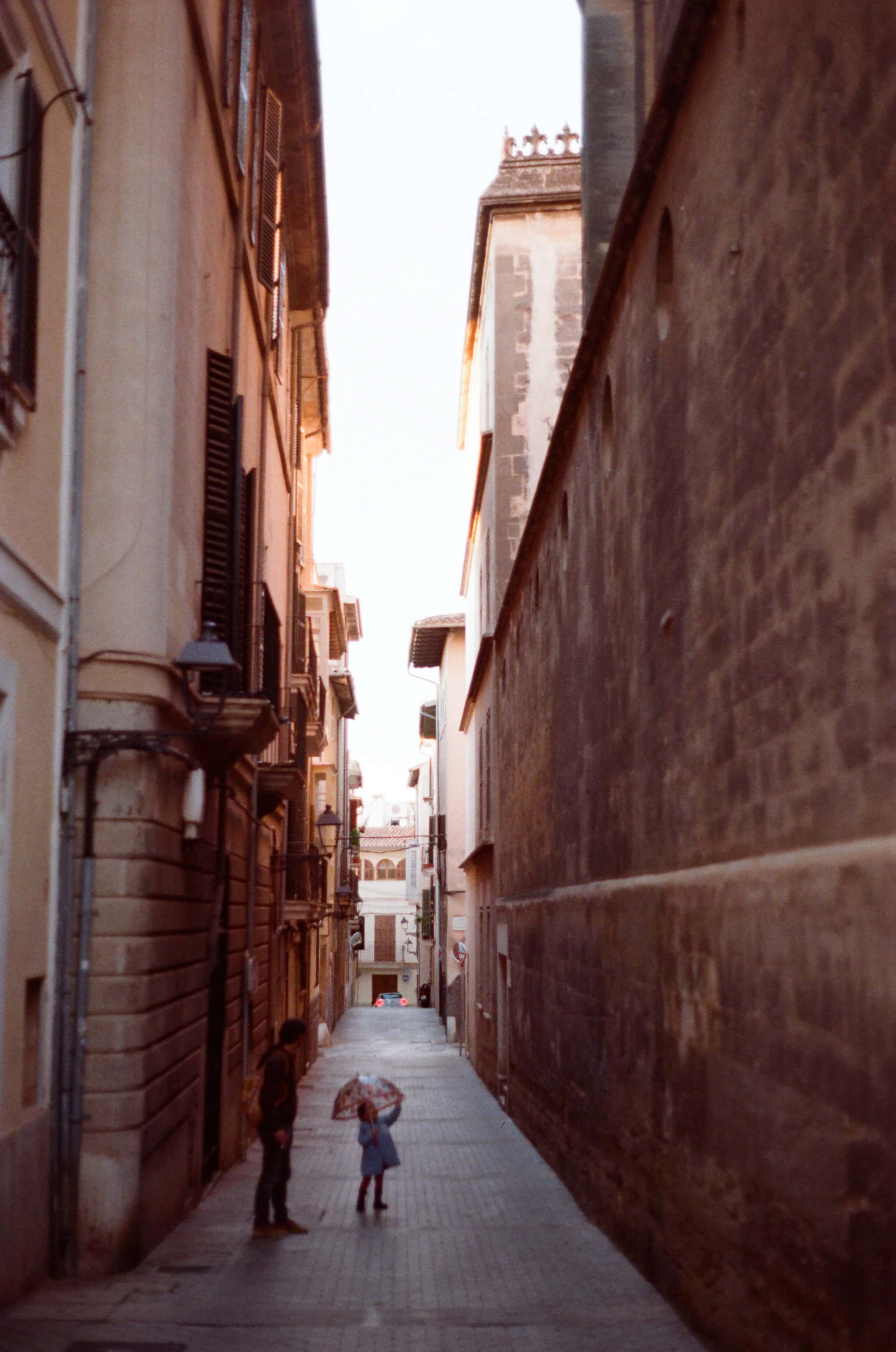 Thumbnail for palma-21.jpg