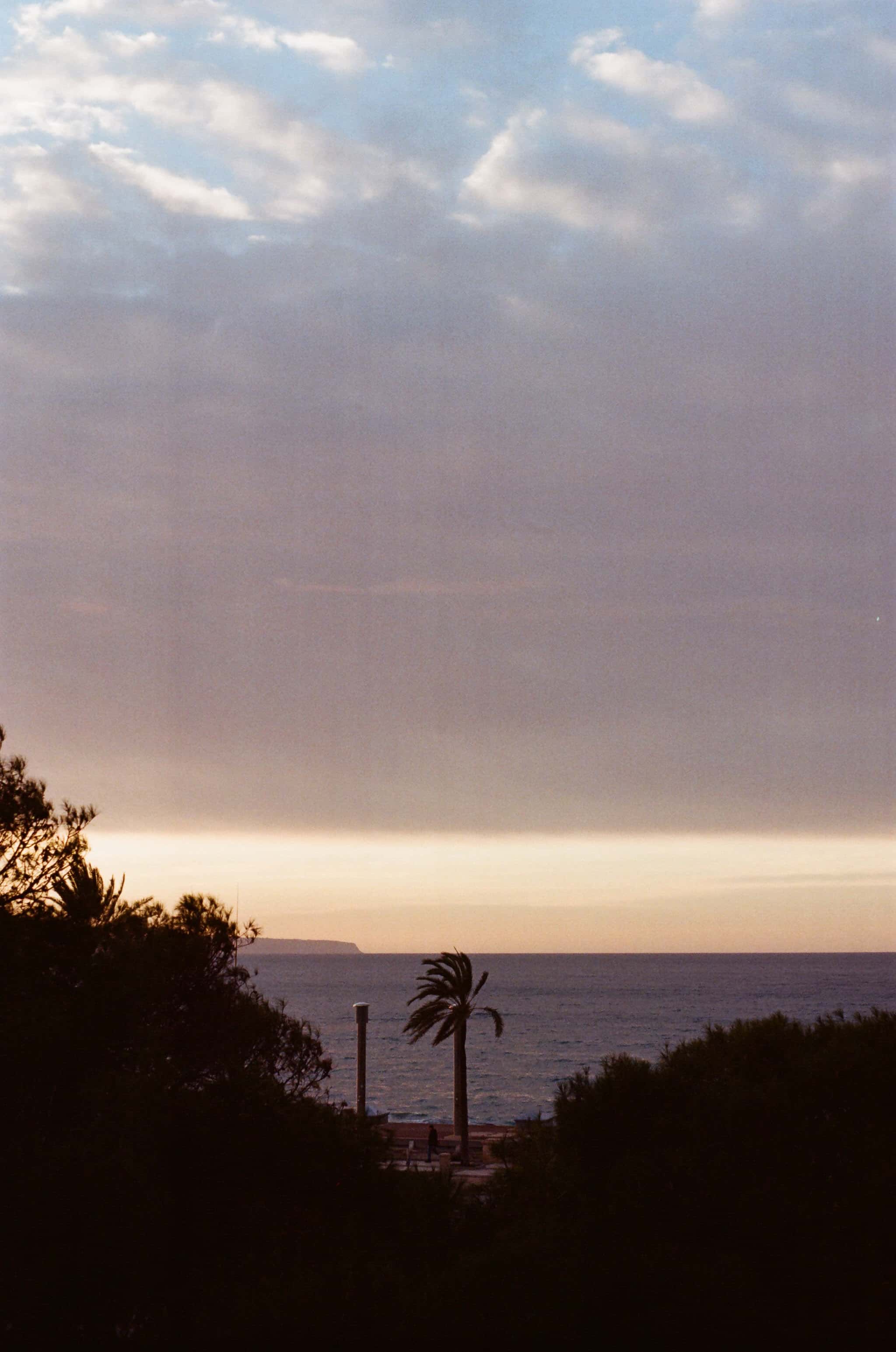 Thumbnail for palma-22.jpg