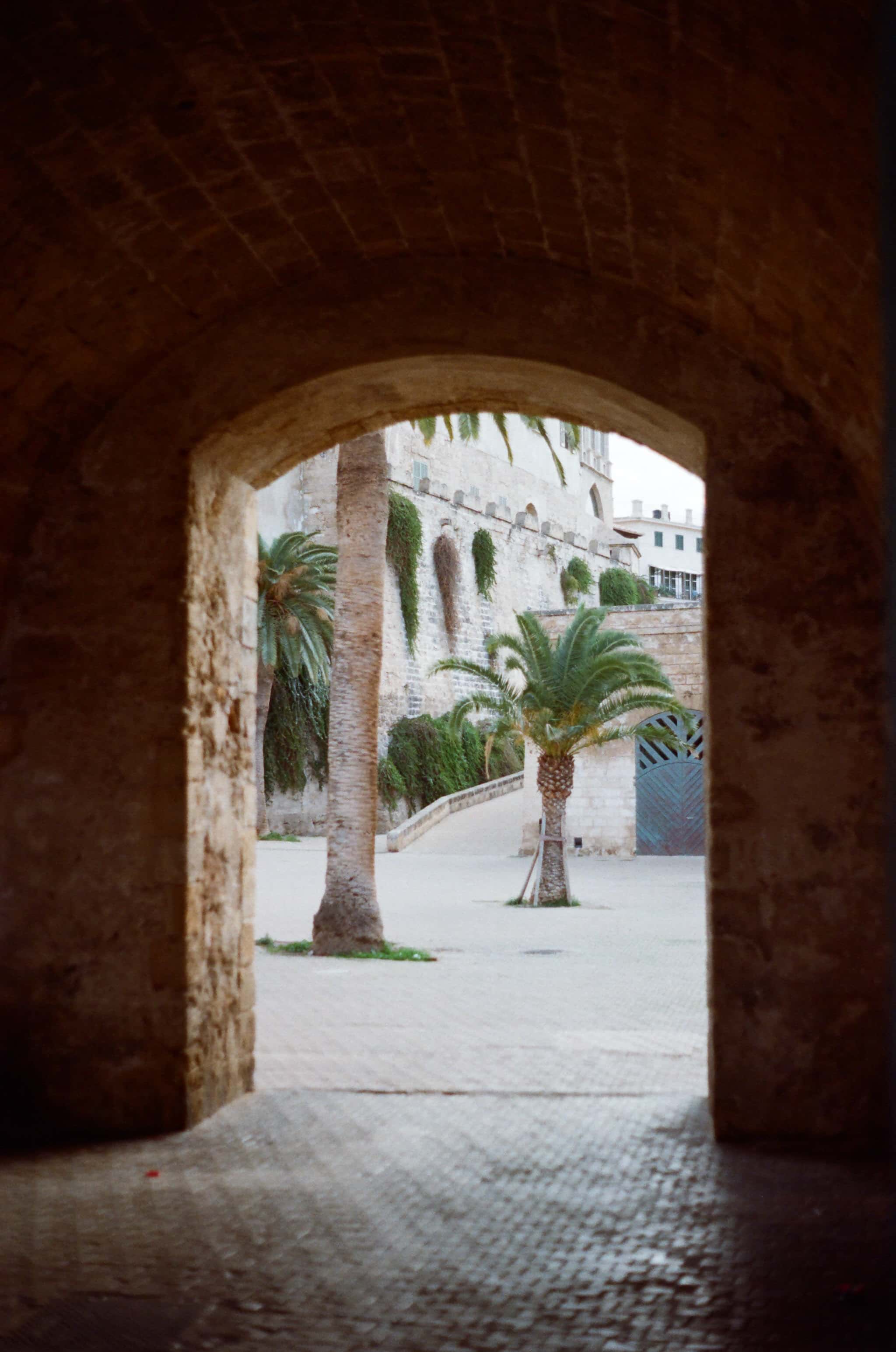 Thumbnail for palma-23.jpg