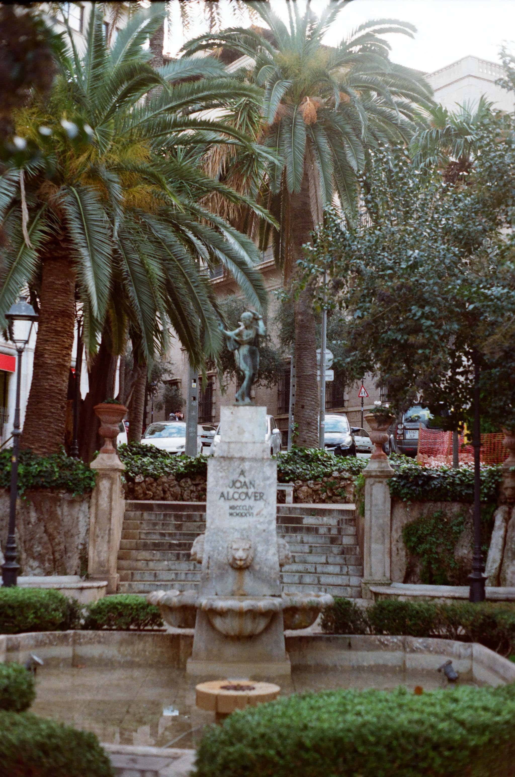 Thumbnail for palma-24.jpg