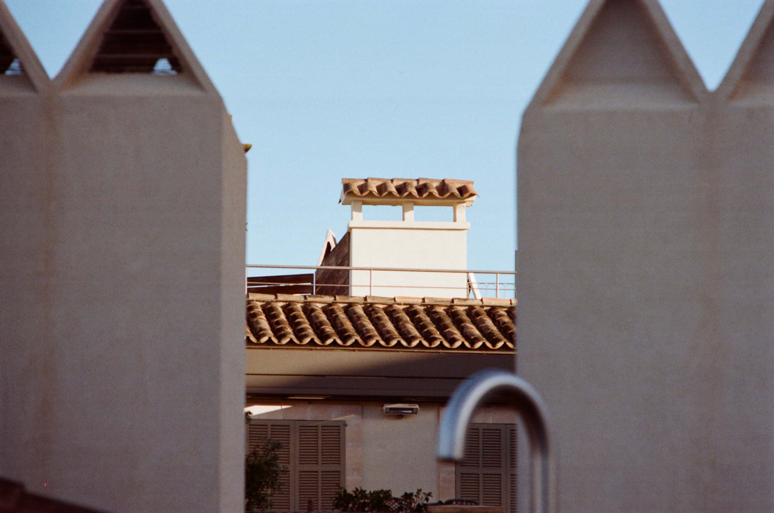 Thumbnail for palma-3.jpg
