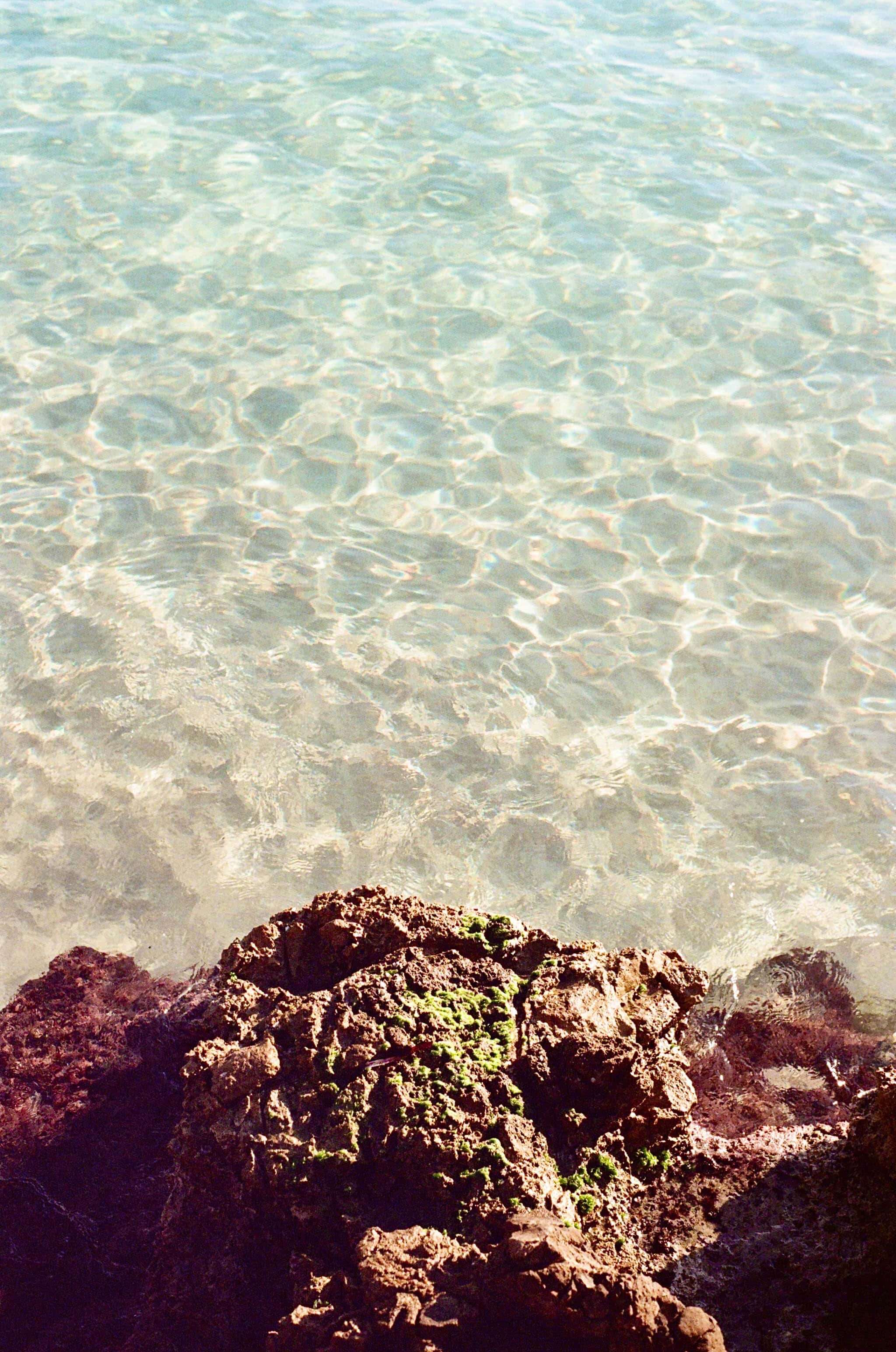 Thumbnail for palma-30.jpg
