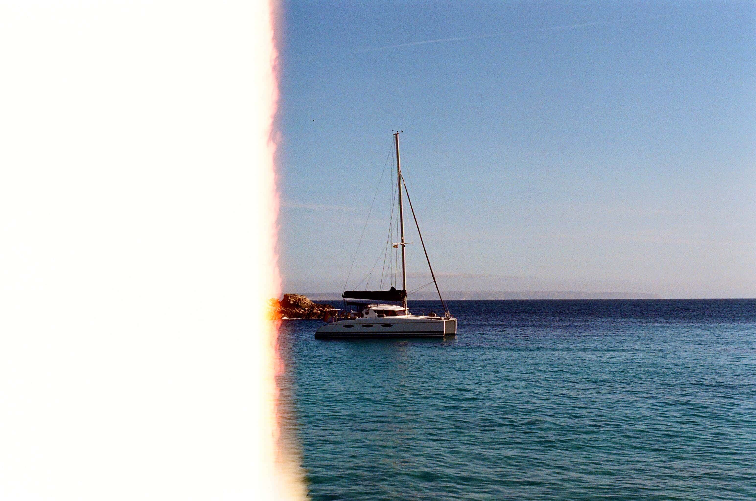 Thumbnail for palma-31.jpg