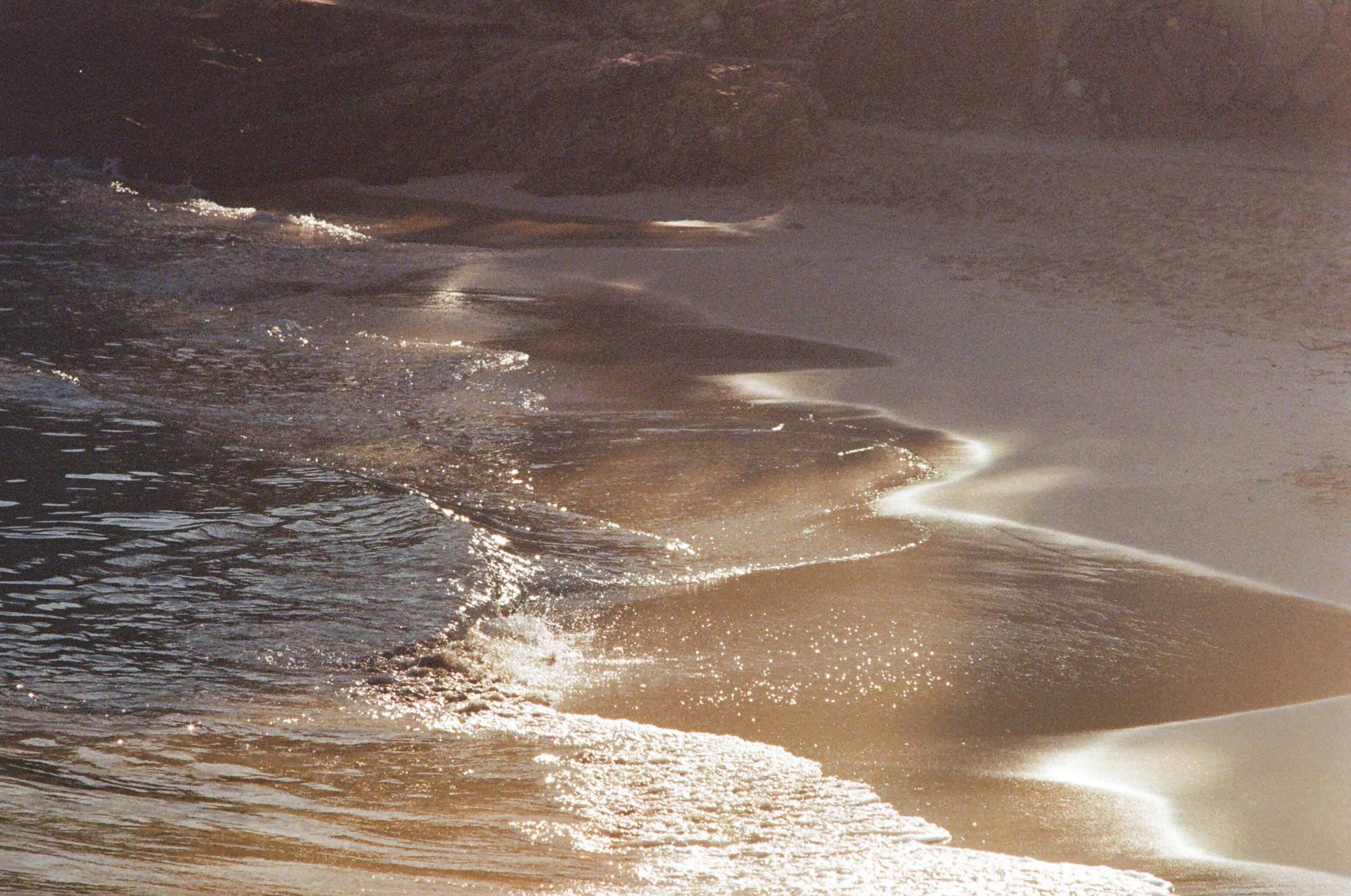 Thumbnail for palma-38.jpg