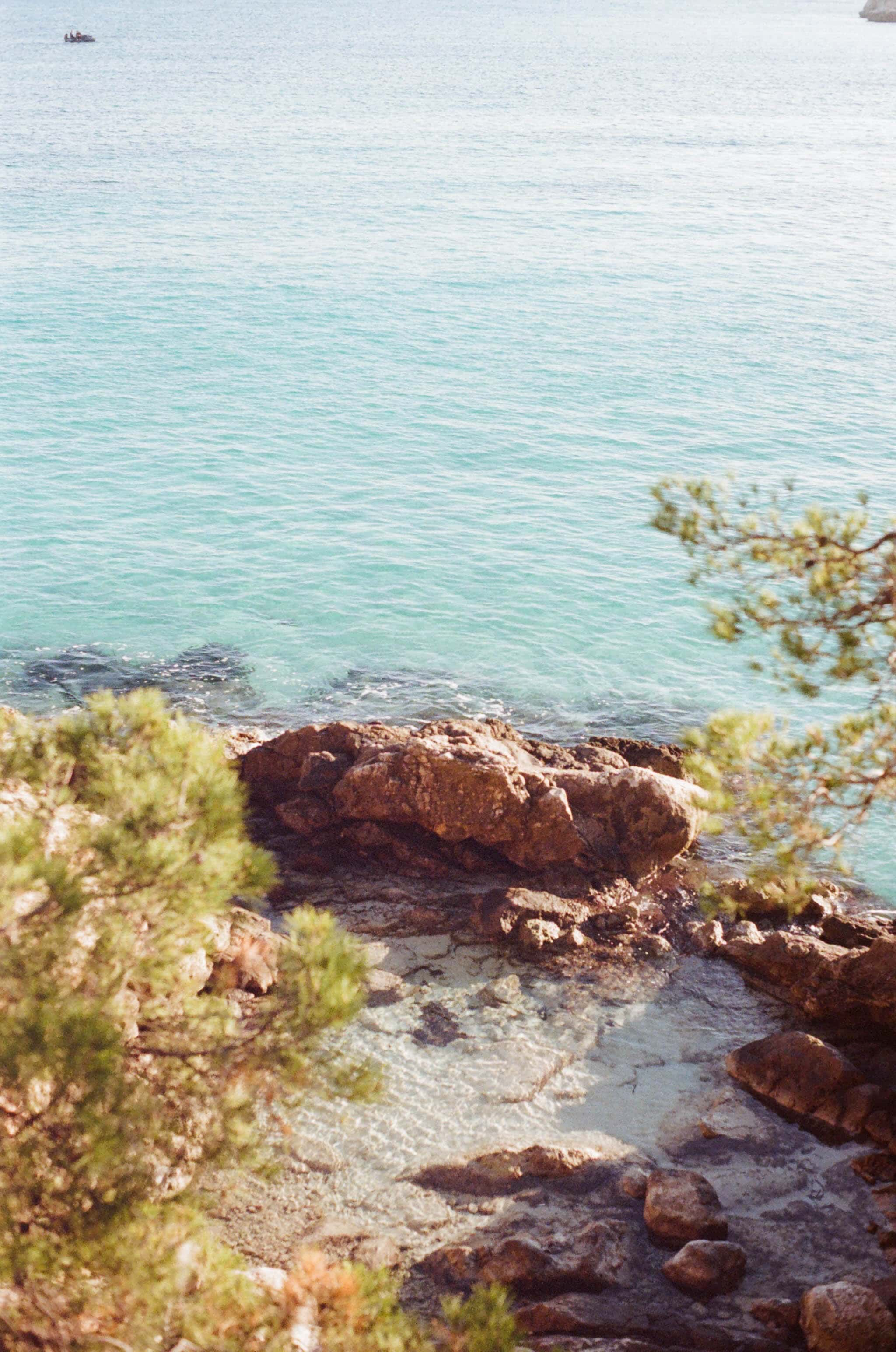 Thumbnail for palma-40.jpg
