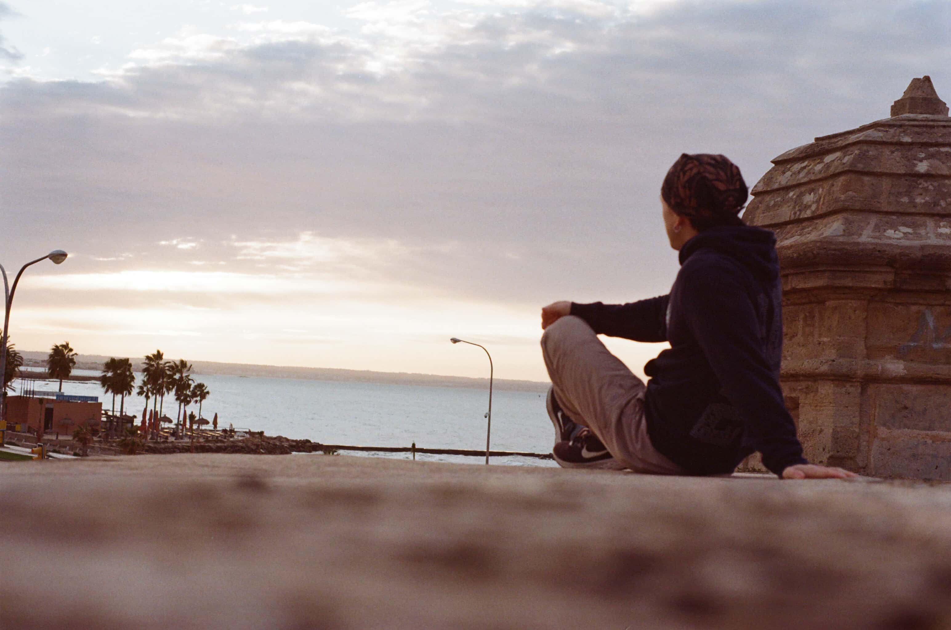 Thumbnail for palma-6.jpg